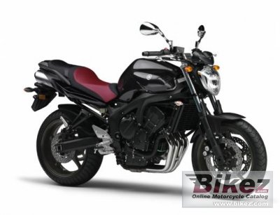 2011 Yamaha FZ6N photo